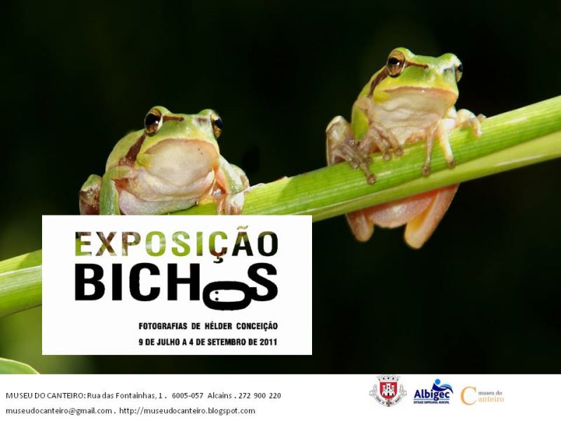 Alcains: Exposição Bichos prolongada até outubro